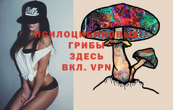 2c-b Мегион