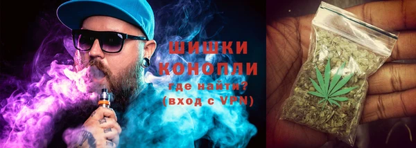 2c-b Мегион